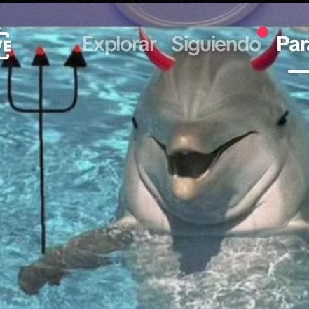 AnalisisMma1's profile picture. 