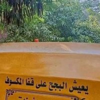 أحمد السيء (@ahmedhatem28270) 's Twitter Profile