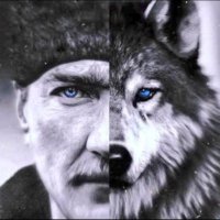 GreyWolf🇹🇷 (@cgreycwolf) 's Twitter Profile