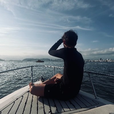 piealvesz's profile picture. sfs