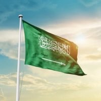 منيرة إبراهيم (@ibrahim_mn35571) 's Twitter Profile