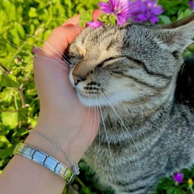 Tinku_Minku123's profile picture. شاید وہ میرے اندر کی ویرانی کو نہیں سمجھا