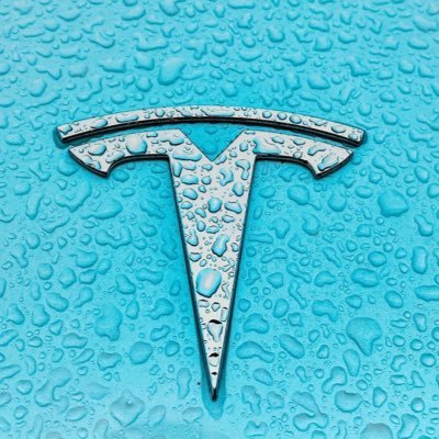 elonmuskteslaq2's profile picture. The future of autonomy