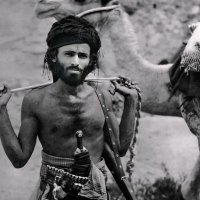 الأحقافي (@alhaqafy) 's Twitter Profile