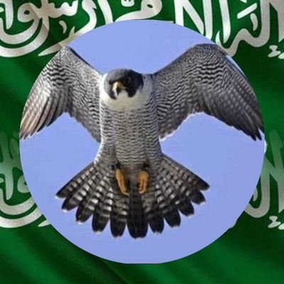 كاتب ومتذوق لجميع انواع الشعر بالذات الغنائي و الوجداني.
الخاص للخاصين فقط