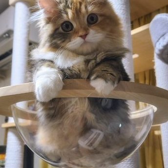 dvoqiggz's profile picture. 어떤 일이든, 내가 할 수 있는 최선을 다해 노력한 뒤에는 그 결과가 어떻게 나오든 후회하지 않게 됩니다. 중요한 건, 그 과정에서 내가 얼마나 성장했느냐 입니다. 끊임없이 도전하고, 자신을 믿으세요. 🌟💪