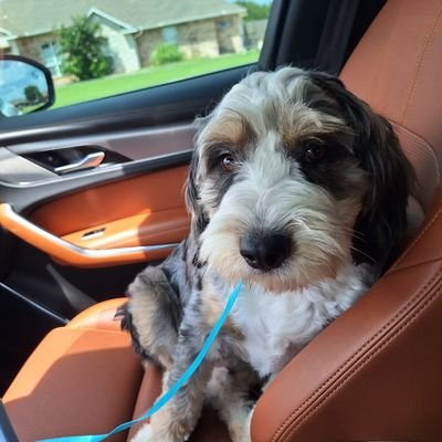 biglynow's profile picture. 
