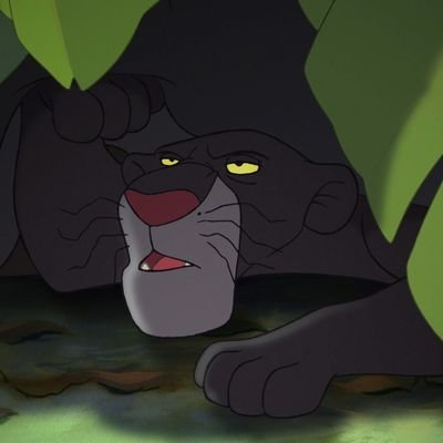 18+ Rp Only. Nothing Condoned IRL. AD Taboo Jungle Book RP Account, very closet friendly, DMs open. 🍼🧸🐾🐈⬛🐘🐍🐻🐒🐅