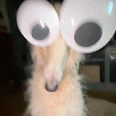 왈왈왈!!컹컹컹컹!!!멍멍멍멍!!왈왈!!멍멍멍!!그르르릉..왈왈왈!!!컹컹컹컹컹!!왈왈왈!!컹컹컹컹!!!멍멍멍멍!!왈왈!!멍멍멍!!그르르릉..왈왈왈!!!컹컹컹컹컹!!왈왈왈!!컹컹컹컹!!!멍멍멍멍!!왈왈!!멍멍멍!!그르르릉..왈왈왈!!!컹컹컹컹컹!!왈왈왈!!컹컹컹컹!!!멍멍멍멍!!왈왈