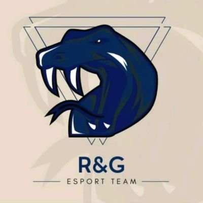 RG22ESPORT Profile