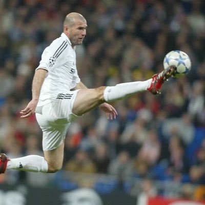 eltigre0100's profile picture. 