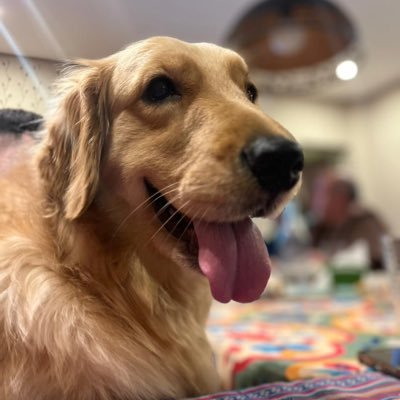 psiailenmoreyra's profile picture. 