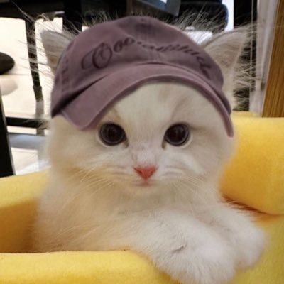 jenbohotdog's profile picture. 