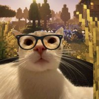 Try to Fun (@tr17mvs) 's Twitter Profile