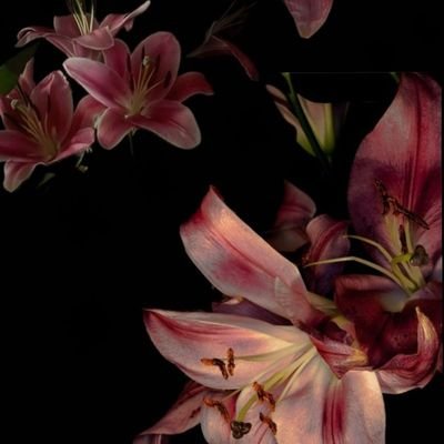 YepesMilagros's profile picture. 