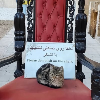 « Mais la véritable mort, c’est l’oubli » #SaveAafia #CloseGuantanamo