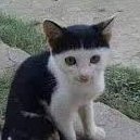 weslkel's profile picture. aa