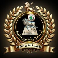 تشكيل الصقور الجارحة 81 (@jjjjjjmdorh) 's Twitter Profile Photo