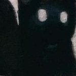 suhtrak's profile picture. 