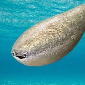 Nicholas_Quack's profile picture. 