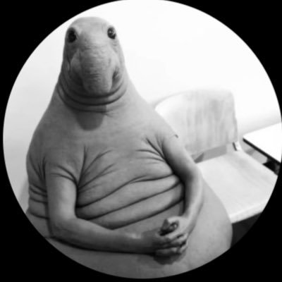 SteveKareem27's profile picture. 