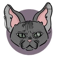 Kart (@kart_vroom) 's Twitter Profile Photo