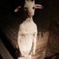 mmeoowballz's profile picture. 20🤫