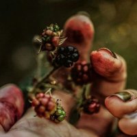 Delgon (@fracturediris) 's Twitter Profile