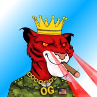Based Dev (@based_dev_) 's Twitter Profile