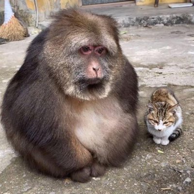 Xysam91's profile picture. SCCP
NFFC