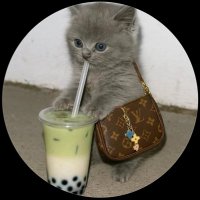 🧚🏽‍♂️ (@flexmuse_0) 's Twitter Profile