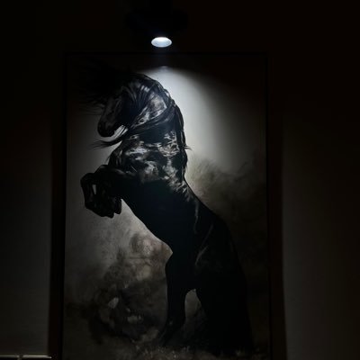 Hussain96079280's profile picture. https://t.co/0ZJatsmKG8