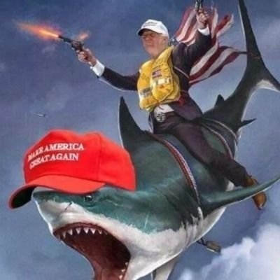 📜 Constitutional Truth | 🧠 Critical Thinking
🚨 MSM Lied | Exposing Corruption One Thread at a Time
⚡️ Decoding News | 🇺🇸 MAGA