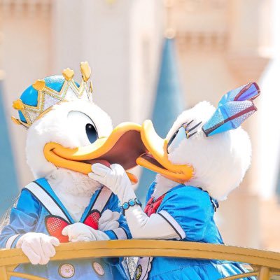 kuro_kuro_ss's profile picture. 無言フォロー失礼します🙇ディズニー大好き！遠方なので頻繁には行けませんが定期的にインパ中🐭ディズニー好きさんと是非仲良くなりたいです！無言でも大丈夫なので、気軽にフォローをお願いします☺️✋》》》🩶デイジー🩶マジカルミュージックワールド🩶パレード＆ダンサーさん…好き過ぎて書ききれない笑🩶ファンダフル会員🩶