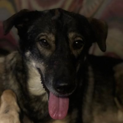 beverly613's profile picture. 