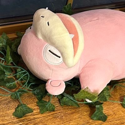 よまよとお呼びください!シャカチキ10枚重ねて食べたい 無言フォロー失礼しますm(_ _)m 大学生、好きが全開です、よろしくお願いします