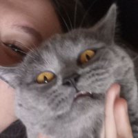 hgül (@_hgul) 's Twitter Profile