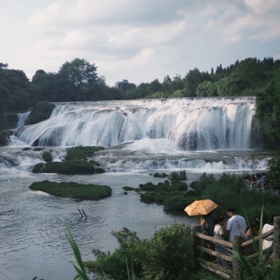 Quintus1637684's profile picture. 