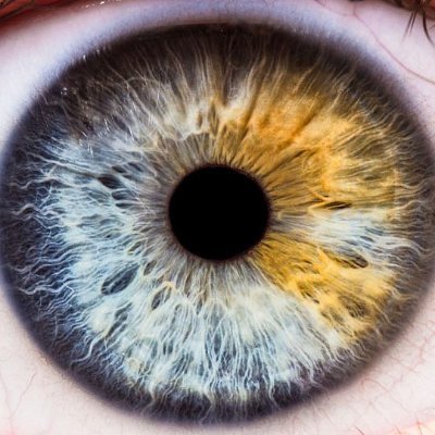 👁️ Residente en Oftalmología
📚 Explico lo complejo en simple
😂 Memes + tips visuales
✨ Tu visión, más clara cada día