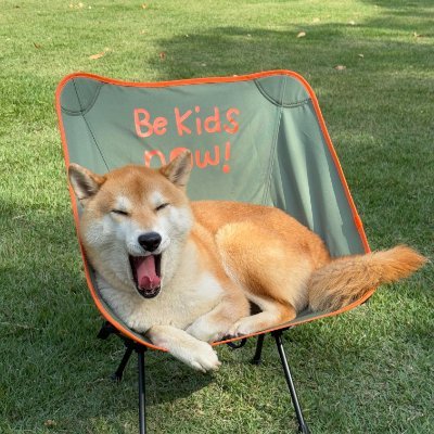 Jabacsuangg's profile picture. 寿司のカウンターに座って、職人さんが熟練した手さばきで、一貫一貫、江戸前の百年の職人精神を感じさせる寿司を私の前に運んでくれました。ひと口食べると、まるで海の中にいるかのような新鮮で甘い味が広がります…🍣✨