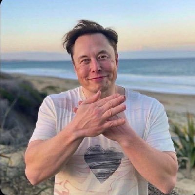 I'm Elon Musk, 🌎@CEO and Chief Engineer of SpaceX, and CEO of Tesla, and also to Mars and improving life