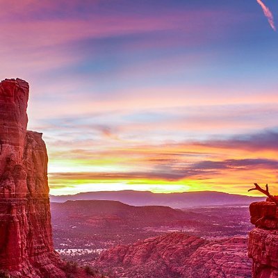 sdogiii's profile picture. 