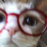 luisa (@luaxw__) 's Twitter Profile