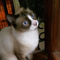 Josè (@alyjoc2) 's Twitter Profile Photo