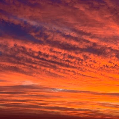 ssinsationn's profile picture. 