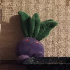 PcSqf's profile picture. @O09Sk