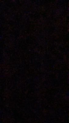 brad1235785's profile picture. tx 📍