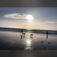 Pabe (@pabe104) 's Twitter Profile