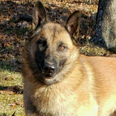 angelb24's profile picture. God, Family and Country as the way it should be.