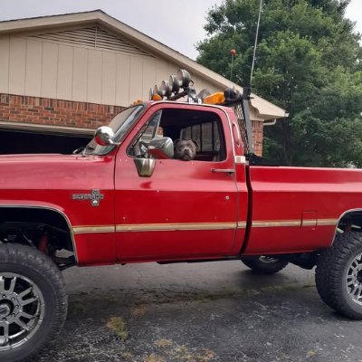 tonytee1968's profile picture. Tony Tyler.. https://t.co/hHGYKOL5S3